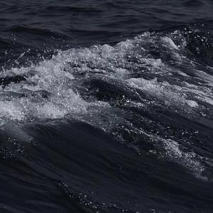 欧美裸体肥婆Ap|>PVRHNαfjBB
